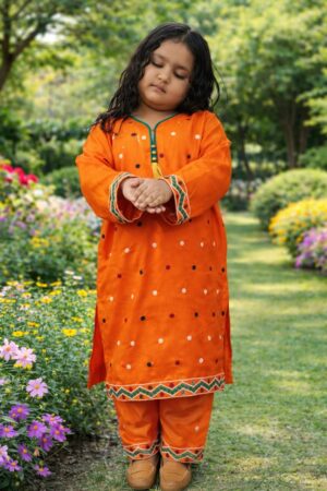 Embroidered Dhanak - Orange